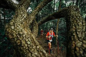 BIB: 
                            <button type="button" onclick="openModal(25669395)" class="btn btn-primary btn-sm float-right btn-popup" data-toggle="modal" data-target=".modal-high-quality">
                        <i class="fas fa-shopping-cart"></i> Add to Cart
                    </button>
                                            <button type="button" onclick="isThisMe(25669395, true)" class="btn btn-success btn-sm float-right btn-popup btn-isme hidden" data-toggle="tooltip" data-placement="bottom" title="นี่คือรูปของคุณใช่ไหม คลิกที่นี่เพื่อเอาเข้าอัลบั้ม">
                        <i class="fas fa-plus"></i> Add to album
                    </button>
                    <button type="button" onclick="isThisMe(25669395, false)" class="btn btn-warning btn-sm float-right btn-popup btn-isnotme hidden">
                        <i class="fas fa-ban"></i> Remove from album
                    </button>